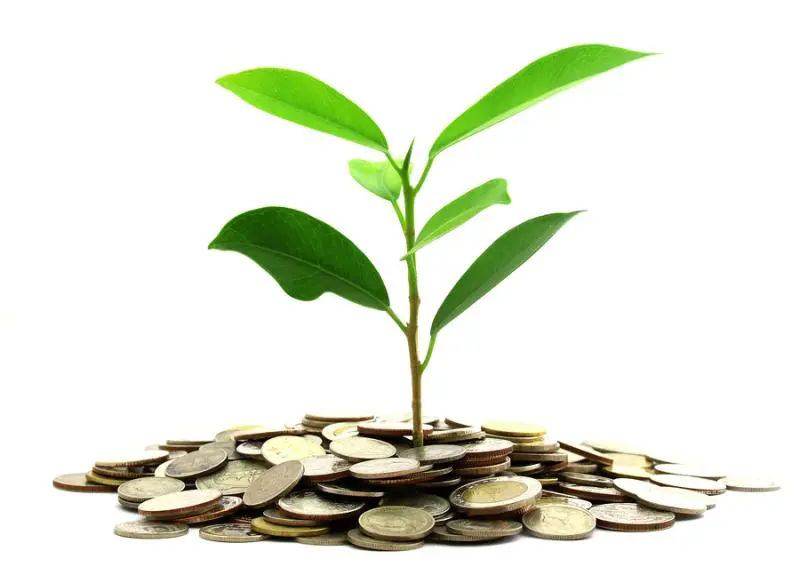 Инвестиции SKF в сохранение экологии | Свежие новости в Череповце