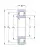Роликовый цилиндрический подшипник NJ 213 ECP/C 3 от производителя  SKF