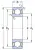 Однорядный шариковый подшипник 6205 2Z/C 4 от производителя  SKF