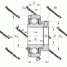 Подшипник GRAE 45-NPP-B в Череповце